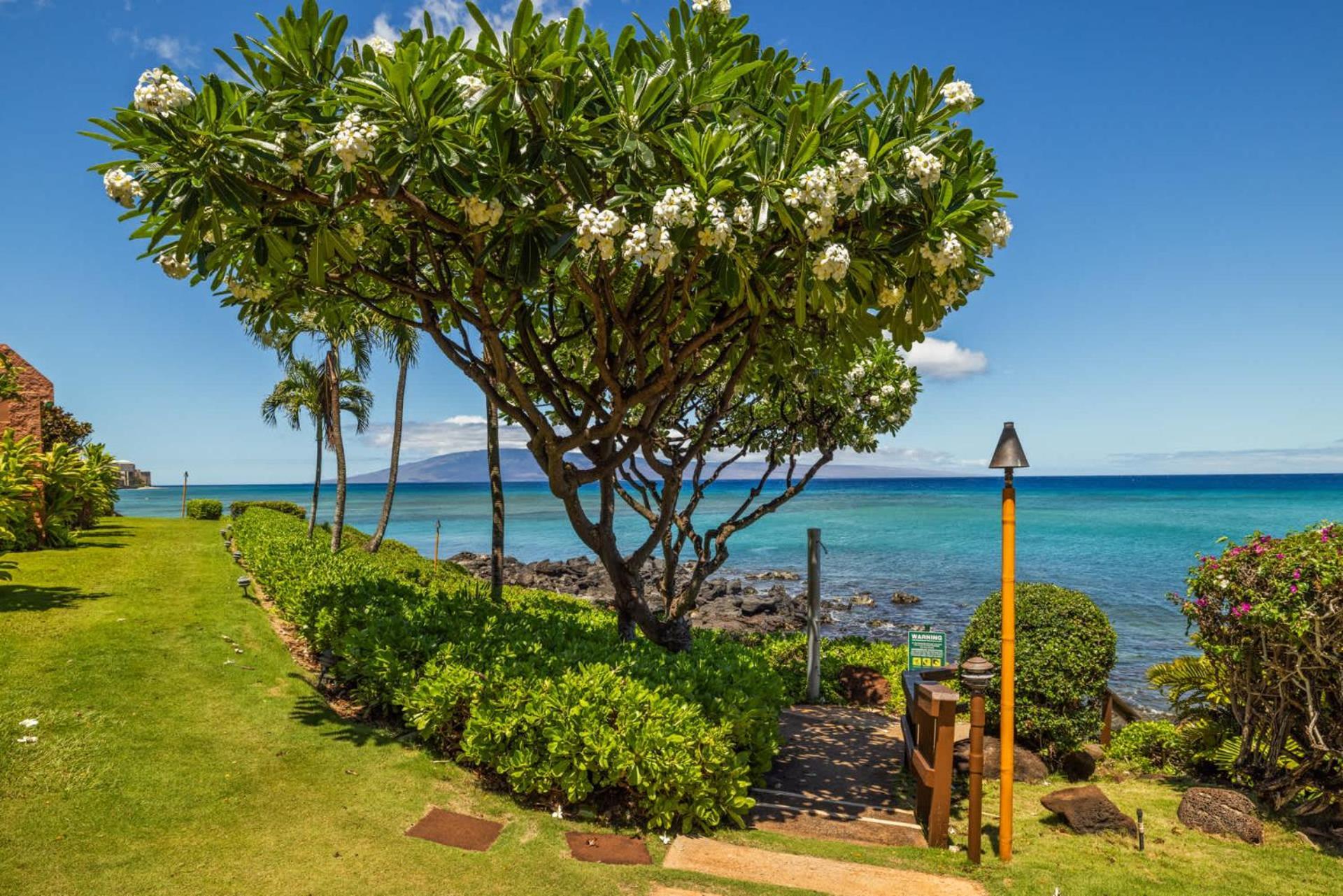 Kuleana Club #611 Oceanfront - 1 Bedroom & 1 Bathroom - Gated 2Nd Fl Kahana Buitenkant foto